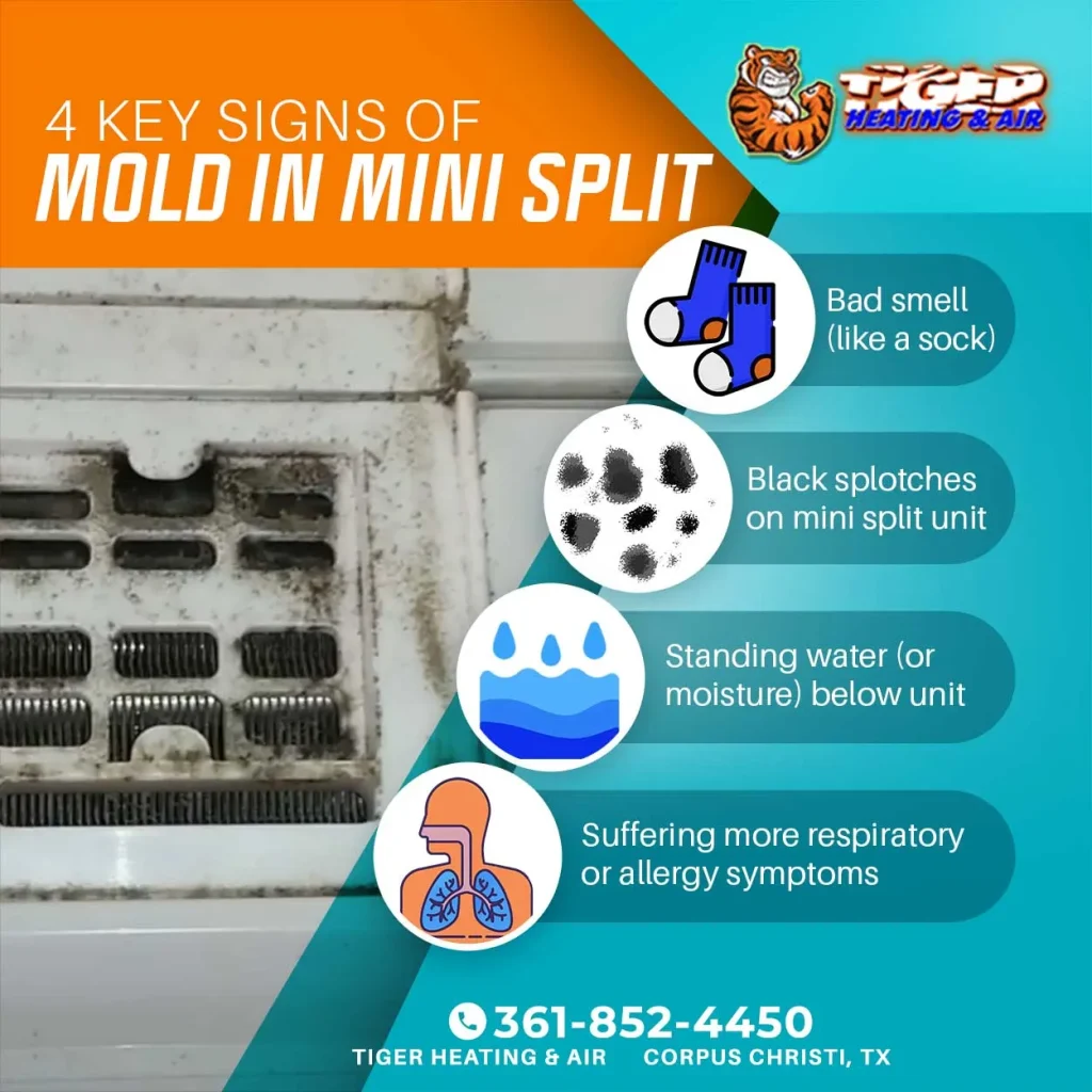 Have Mold In Your Mini Split