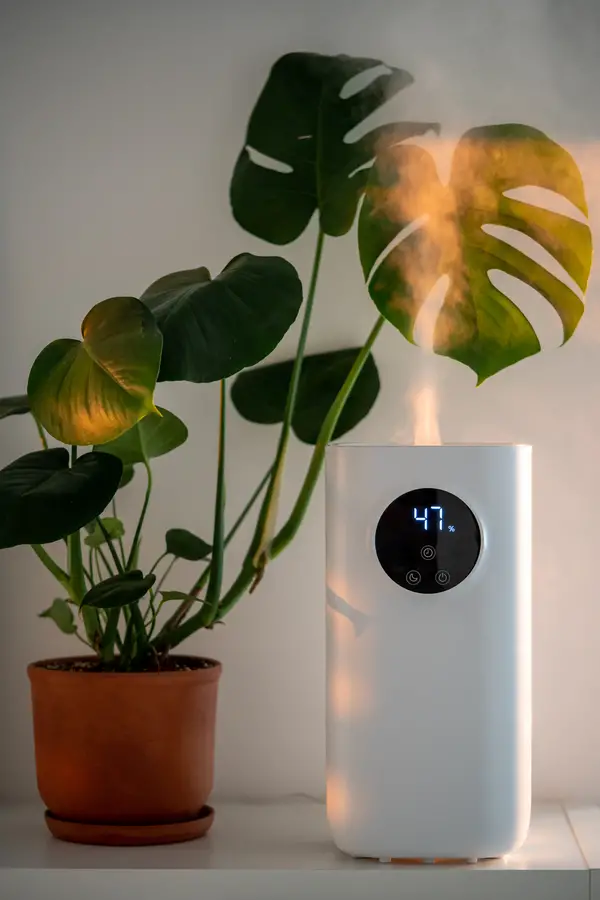 Modern Humidifier in Corpus Christi Home